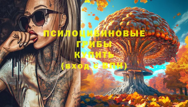 а пвп мука Алзамай