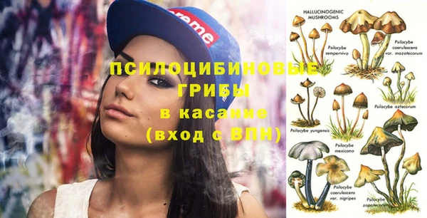 а пвп мука Алзамай