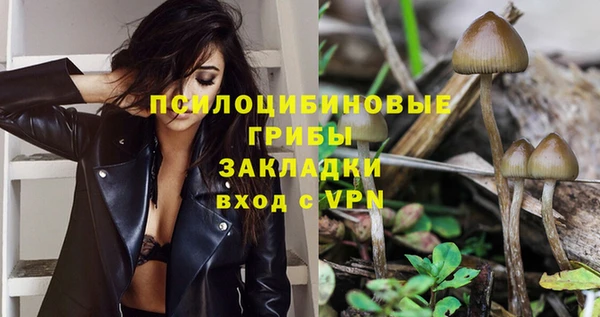 а пвп мука Алзамай