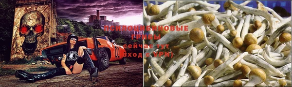 а пвп мука Алзамай